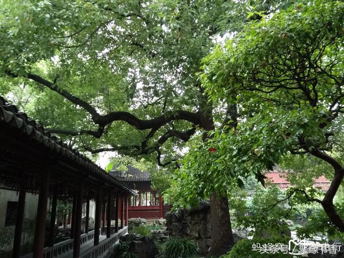 一代文豪苏东坡的快意人生,中国千古第一文人苏东坡