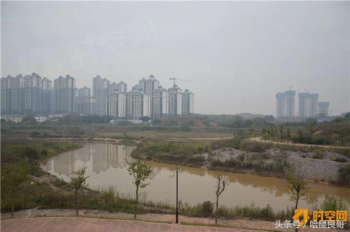 一拍即合！大唐、阳光城、天誉联合16.4亿拍下良庆大道206亩地