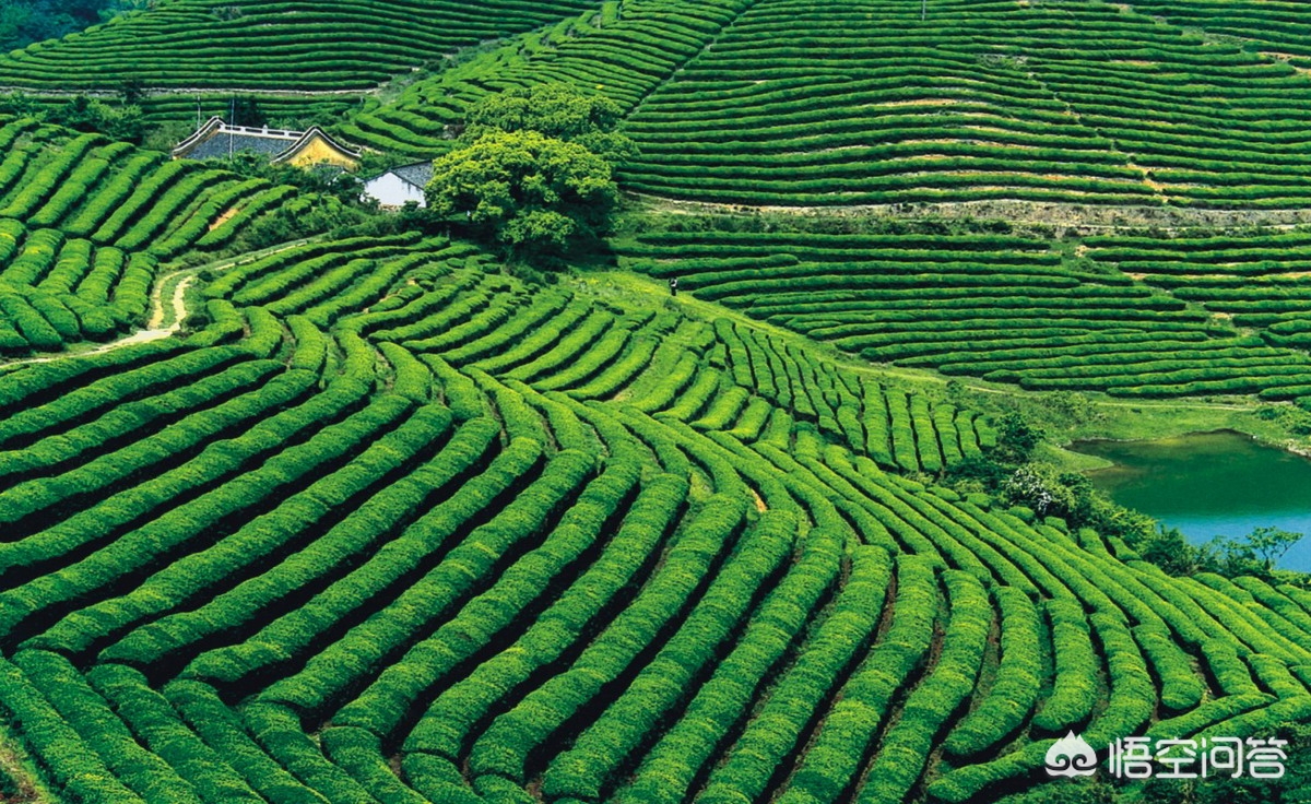 农学生物专业就业前景,职高农学专业就业前景