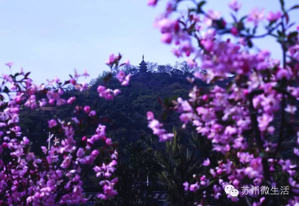 快看！苏州要在全球出名了！竟然与纽约、伦敦、东京、巴黎同上一个榜单...
