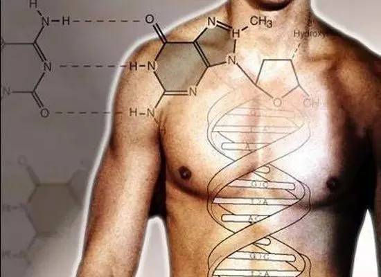 尖叫吧 ! 捉奸床垫、苹果汽车、最快悬磁浮、Google看病...