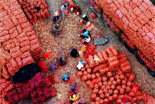 沈阳大型批发市场有哪些,沈阳批发市场哪个最便宜