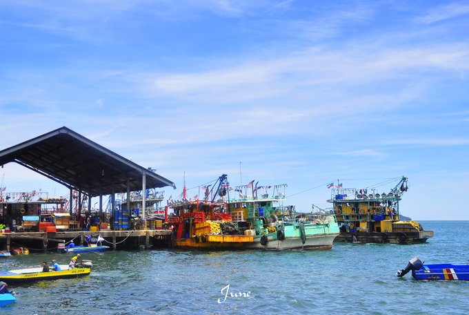 【一只熊的冒险】薄荷色夏日梦，马来西亚沙巴亚庇仙本那历险记——敦沙卡兰海洋公园（完）