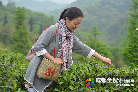 成都都江堰市达人探店,都江堰旅游达人