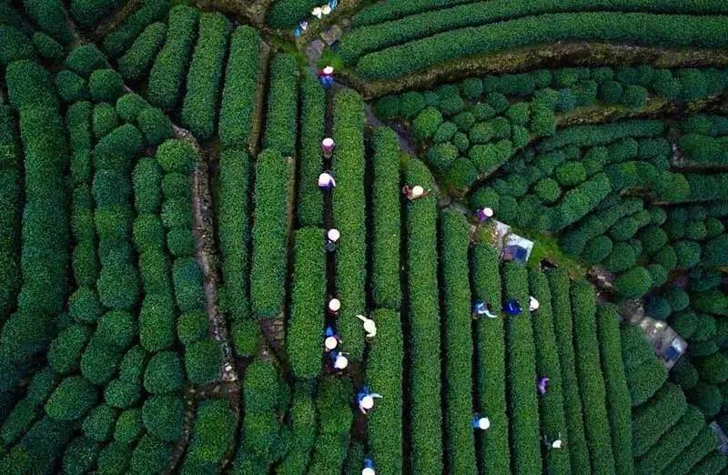 新一线城市名单杭州,2020新一线城市名单杭州