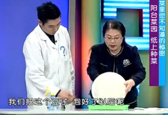 纸上种菜可以种向日葵吗,种菜小窍门两张纸就搞定