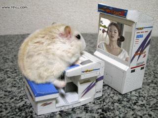 进口无糖零食澳洲的,澳洲好吃的低脂饼干