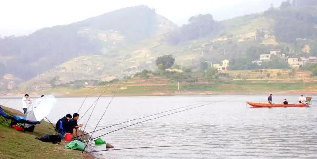 最新重庆周边钓鱼地点推荐,重庆免费钓鱼的最佳地点