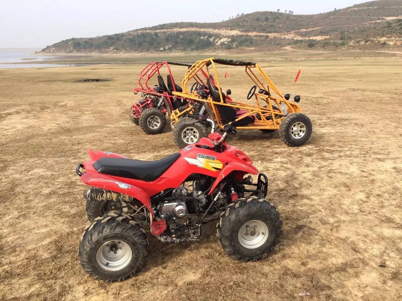 买一送一法国进口波尔多红酒,法国原瓶进口红酒多少钱