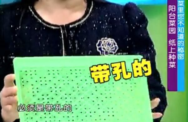 出来的五个种菜实用小技巧,纸上种菜可以种向日葵吗