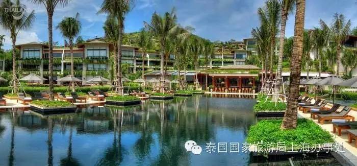 泰汇玩|这些酒店，为什么大家都喜欢？