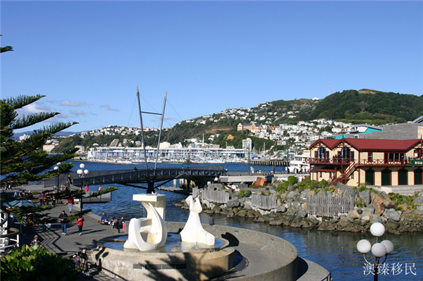 移民新西兰跟哪个机构联系,移民新西兰