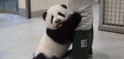 微博和微信朋友圈发的内容的区别,微博微信朋友圈差别太大