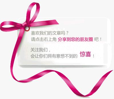 短文阅读：网红3（合作的重要性）