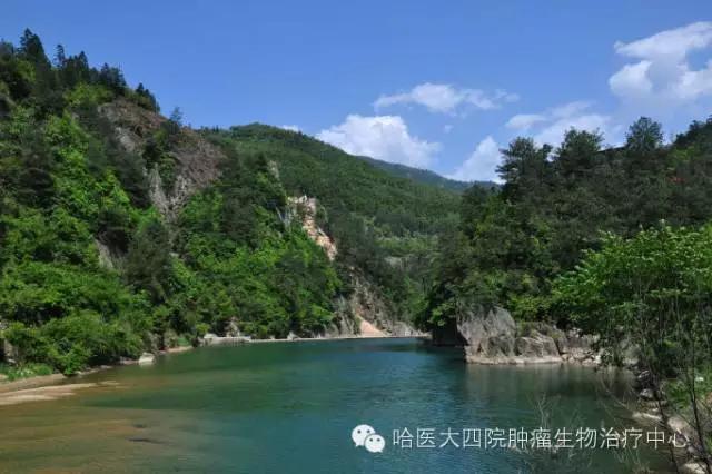 哈尔滨肿瘤医院春节放假时间,肿瘤医院清明节放假