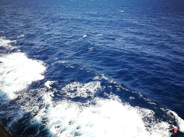 珊瑚海日本,陪你去看海底世界