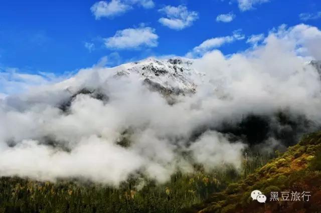 今年五一不出门宅在家里,五一不宅家悦游好时节