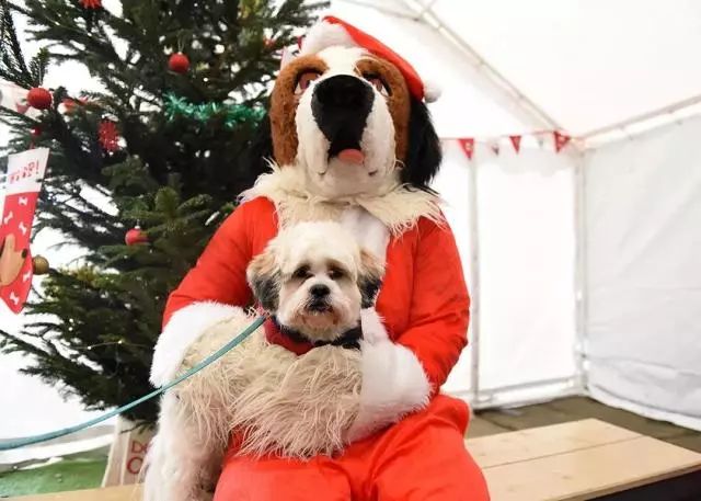 你也想过圣诞节吗,美国今天过圣诞节吗