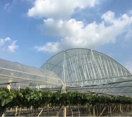 四川到福建怎么玩,四川到台湾怎么去