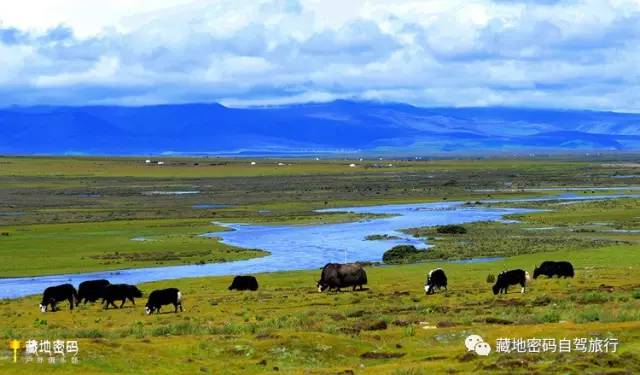 四川川藏环线去稻城亚丁,川藏之旅稻城亚丁