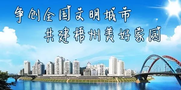 梧州有什么便民平台,梧州市信息中心
