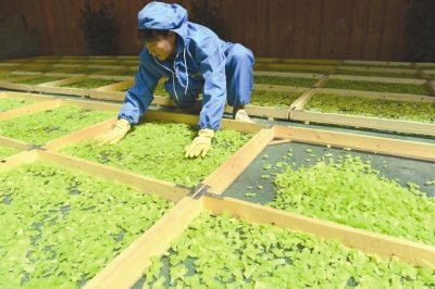 创新思维创新理念创新发展,创新新发展理念构建新发展格局