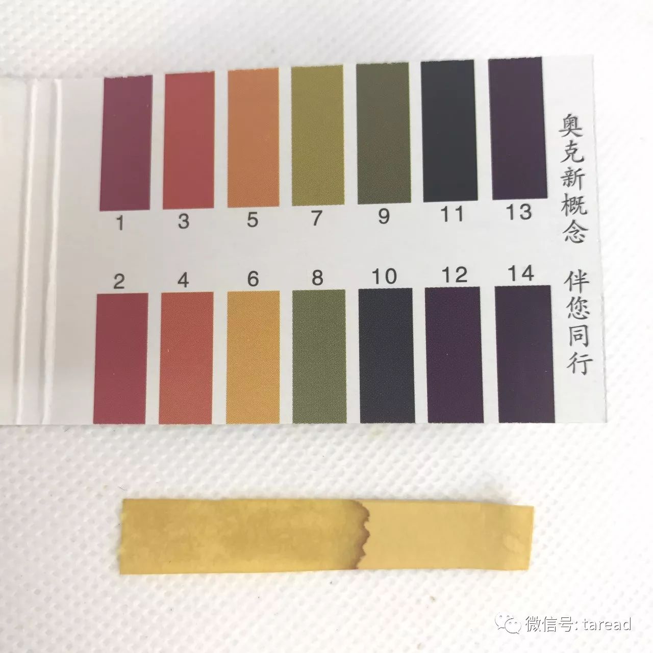 aminoacid氨基酸洁面乳国货,国货平价油皮洗面奶测评