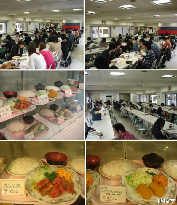 庆应义塾大学法学部,庆应义塾大学回国认可度