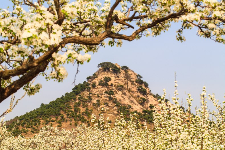 家乡之美美篇,家乡之美原唱完整版