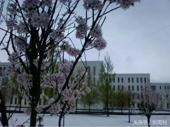 全球最美的十大雪景,全国十大最好看的雪景