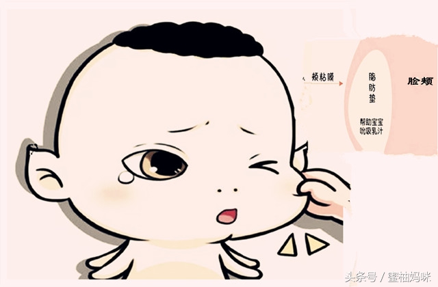 宝宝出生后的正常表现,宝宝出生前会有什么反应