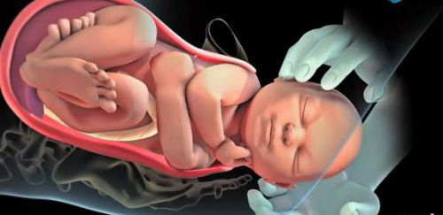 临产前半个小时,胎儿在干什么?太神奇太可爱了!