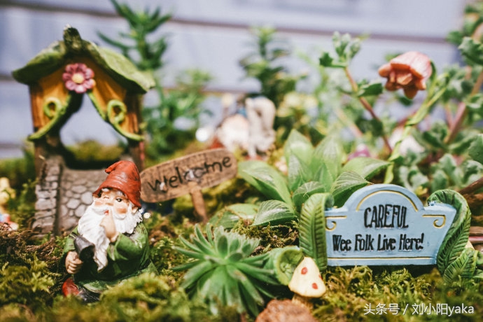 维多利亚水廊旅游,加拿大旅行景点