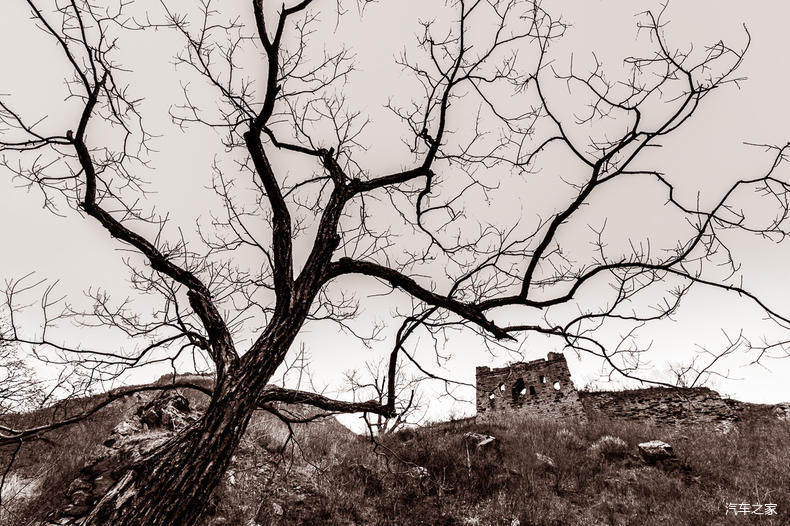 家乡之美美篇,家乡之美原唱完整版