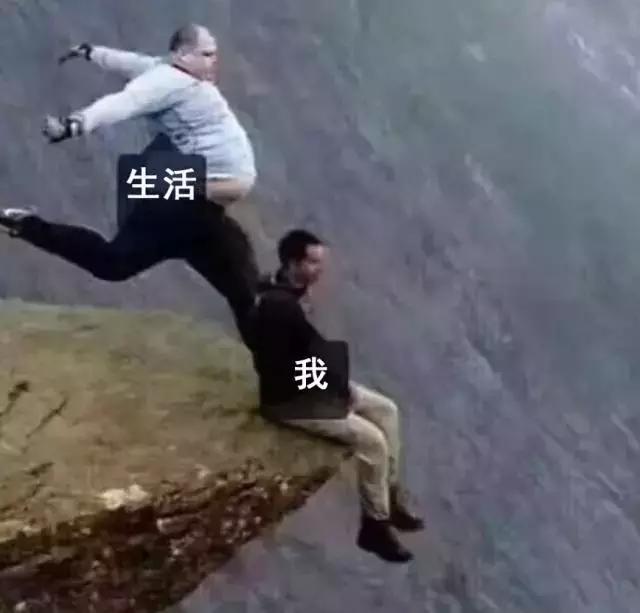 你的2017是什么样子,你的2017这一年总结