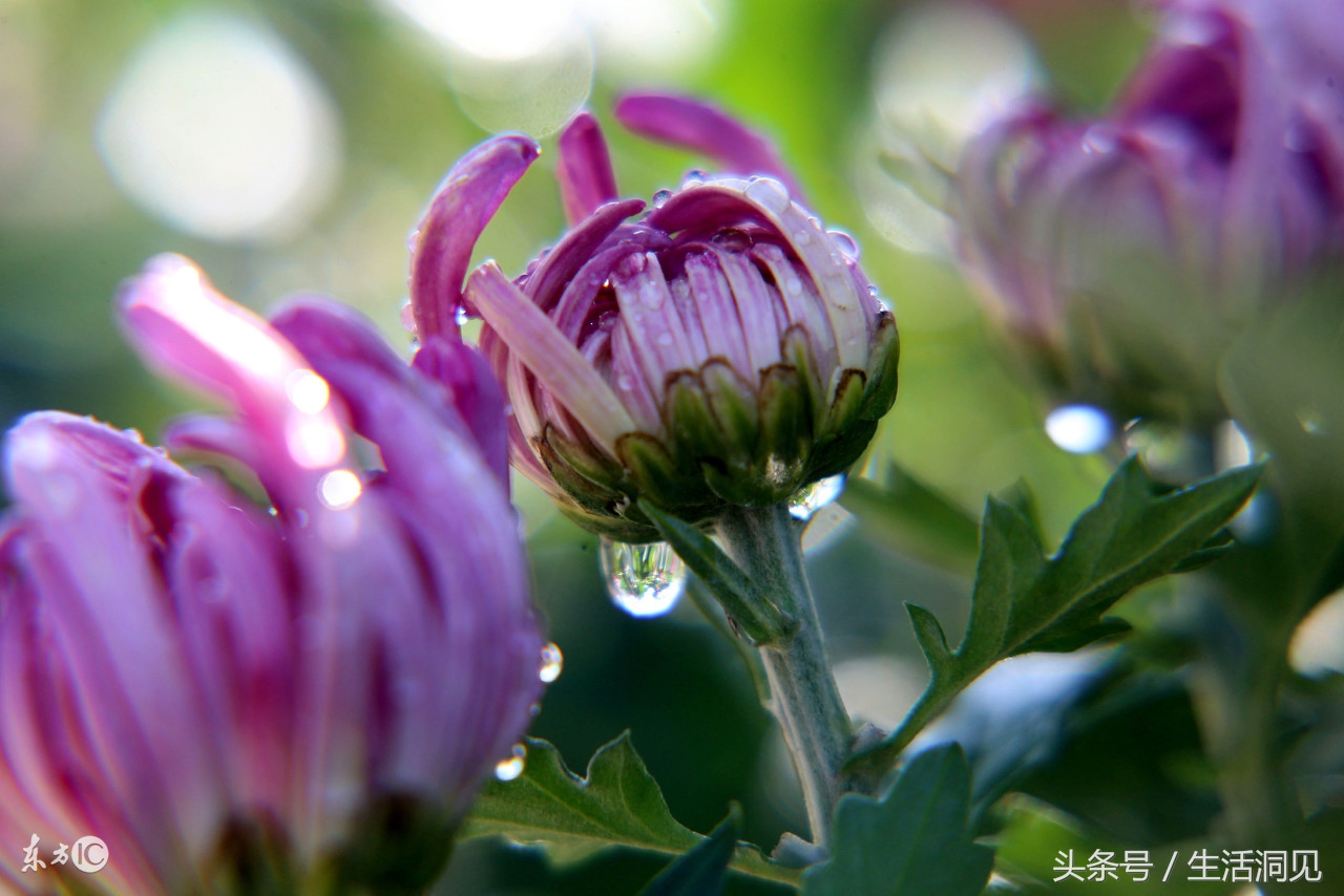怎么样才能识破诈骗手段,生活处处是骗子套路