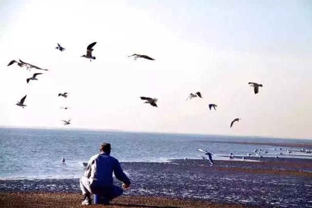 元旦最适合去的地方是哪里,元旦去哪儿最好玩