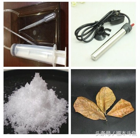 泰国斗鱼养殖套装,泰国斗鱼装备篇