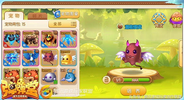 橙宠推荐朱雀玄武,入手朱雀还是白虎好