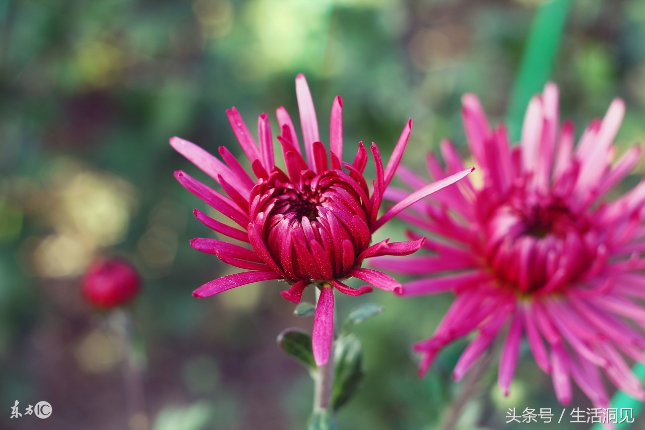 怎么样才能识破诈骗手段,生活处处是骗子套路