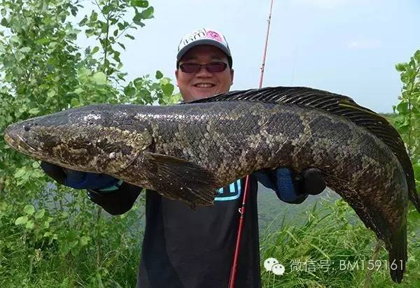 一套雷强装备推荐,雷强装备如何选