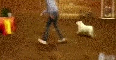 英斗劝退指南,英斗尴尬期和爆头期