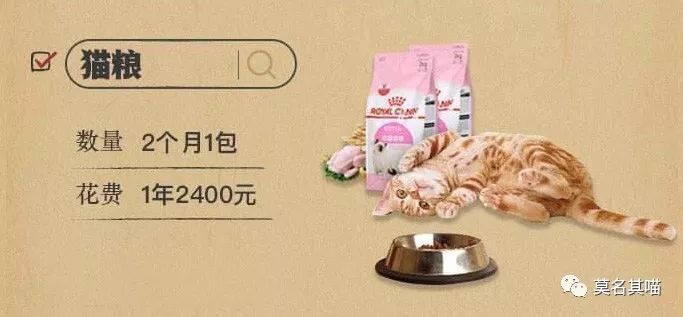 某宝某猫购物评价,某宝买猫100一只是真的吗