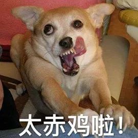 一年一度的品牌生肖“作妖”大会又来啦!