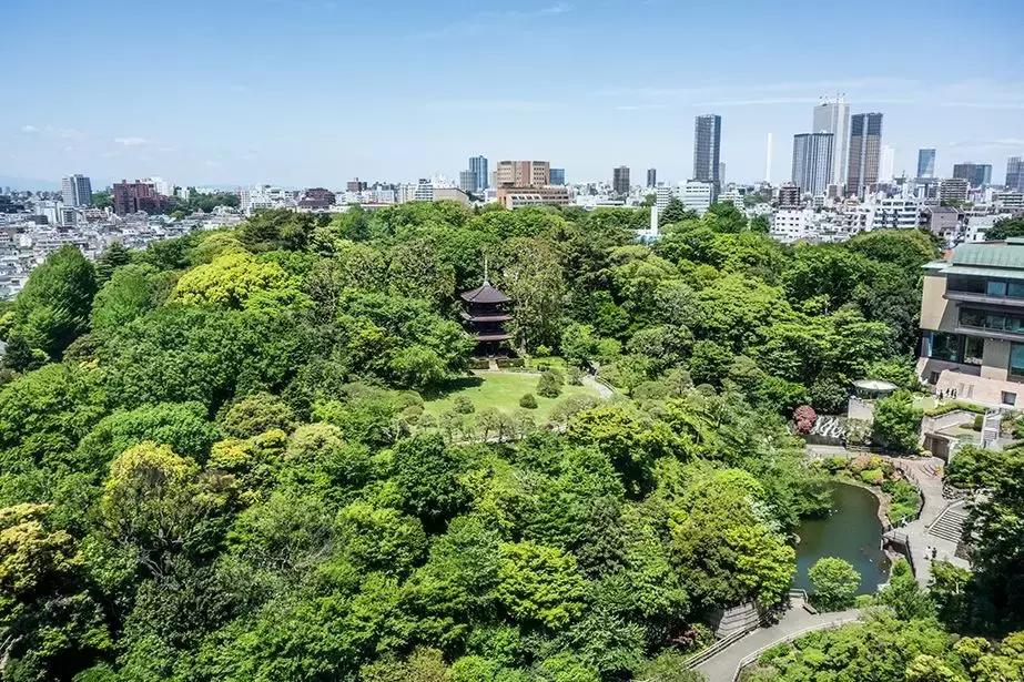 2018年住进日本の百年隐世桃源，尝尽独具特色国民料理尊享生活！