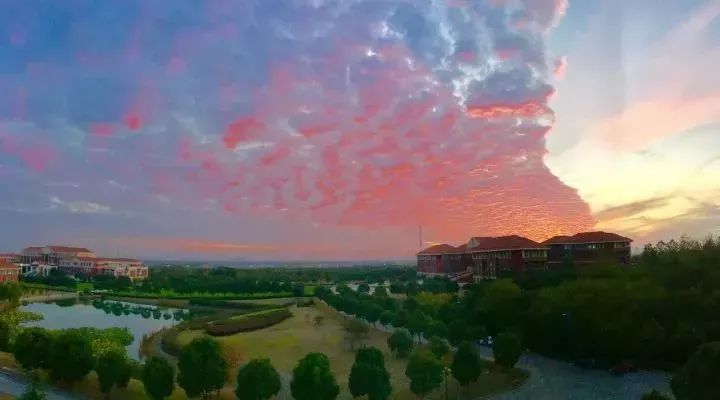 神一样的学校高考和中考都很惊艳,神一样的学校