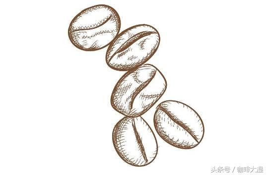 手冲咖啡好喝的原因,自己做的手冲咖啡不好喝