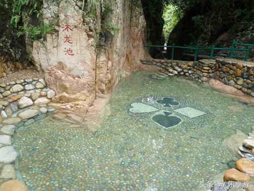 闽清黄楮林温泉,黄楮林自然保护区