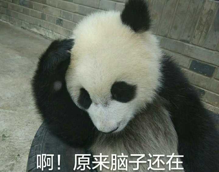 浏览器兼容性的问题怎么解决,浏览器兼容性如何解决