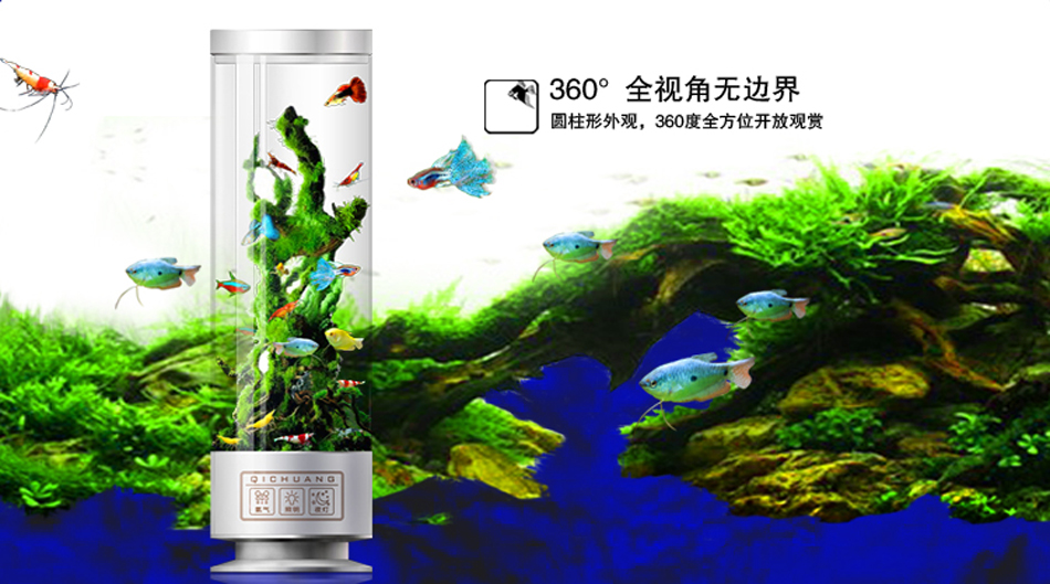 自制生态小鱼缸养热带鱼,夏天鱼缸养热带鱼要多少度